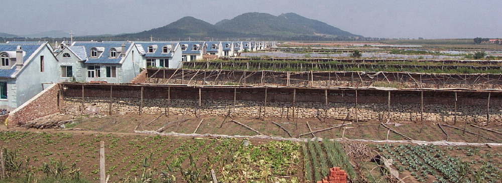 model organic village